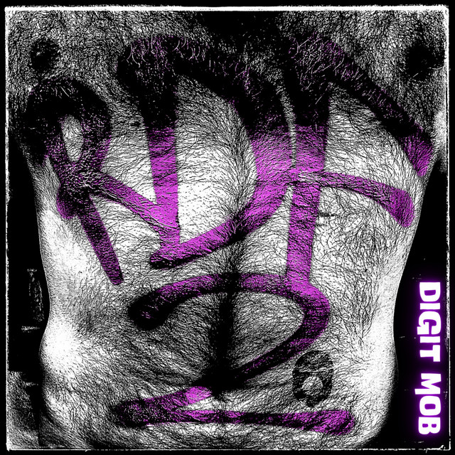 Richtig dickes Fell 2 album cover