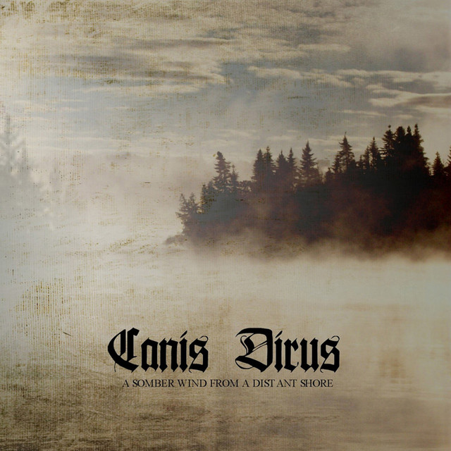A Somber Wind from a Distant Shore album cover