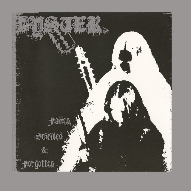 Fallen, Suicided and Forgotten album cover