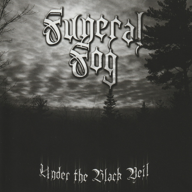 Under the Black Veil album cover