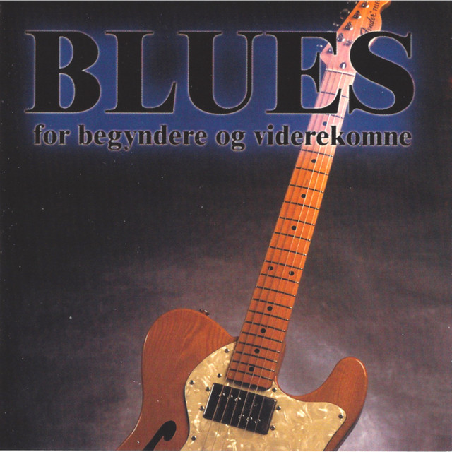 Blues For Begyndere og Viderekomne album cover