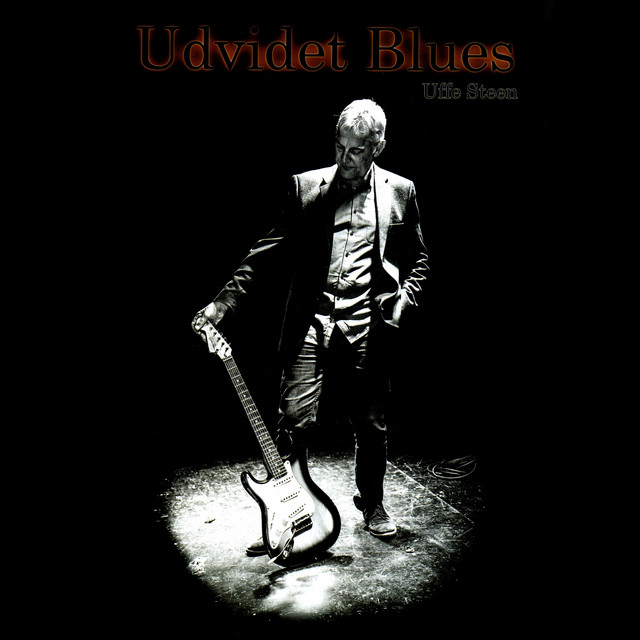 Udvidet Blues album cover