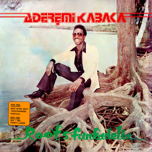 Roots Funkadelia album cover