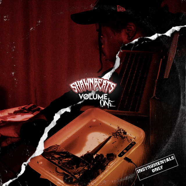 Shawn Beats, Vol. 1 (Instrumentals) album cover