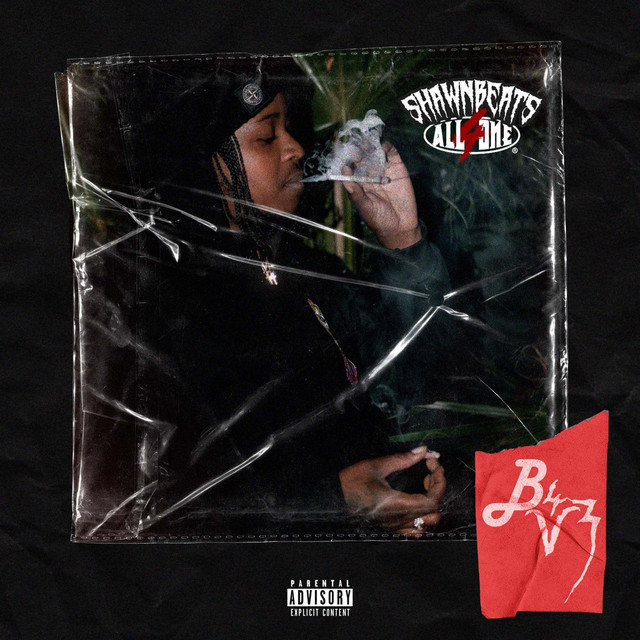 B4V3 album cover
