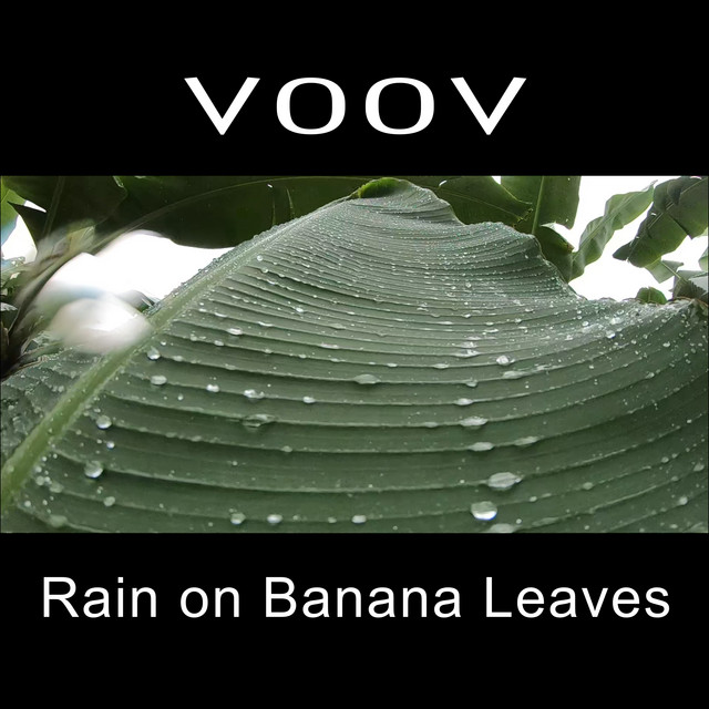 Rain on Banana Leaves album cover