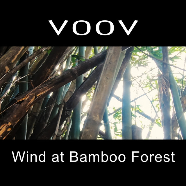 Wind at Bamboo Forest album cover