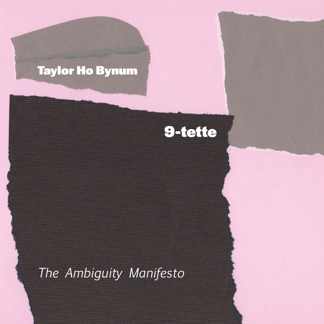 9-tette: The Ambiguity Manifesto album cover