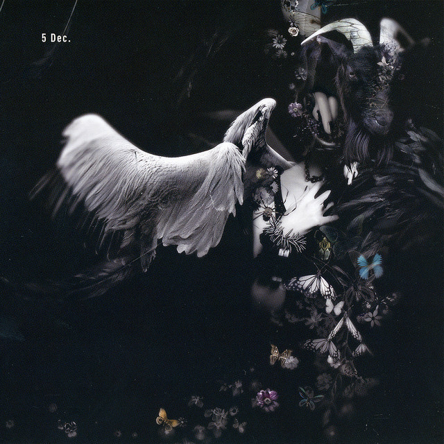 5 Dec. album cover