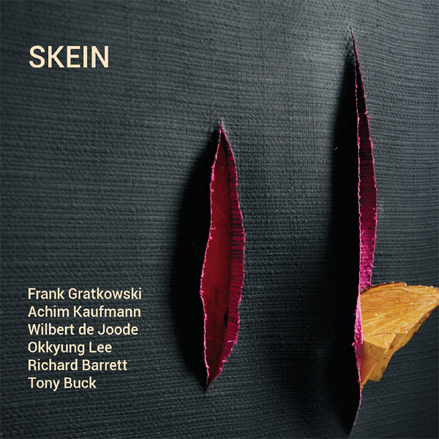 Skein album cover