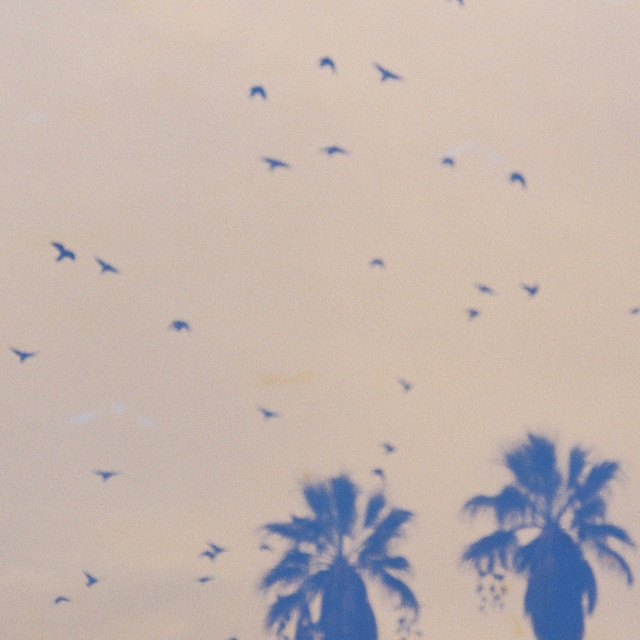 Songs for Birds album cover