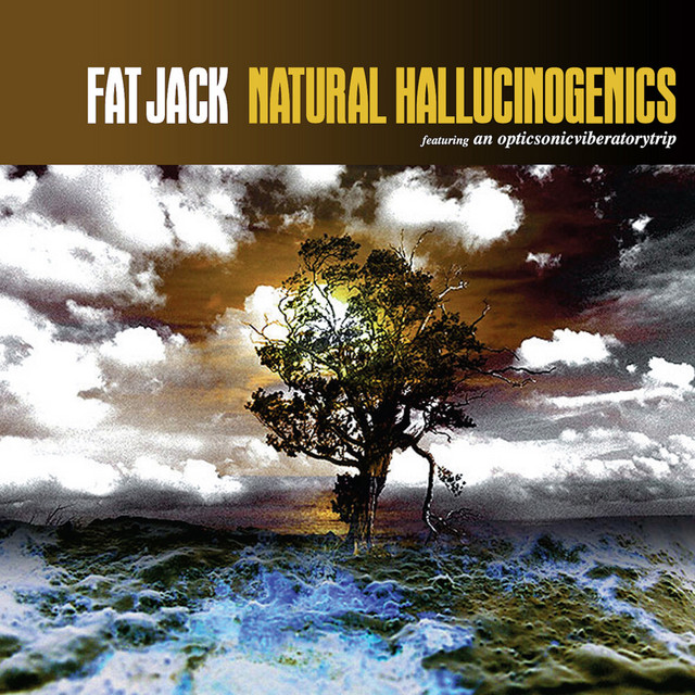 Natural Hallucinogenics album cover