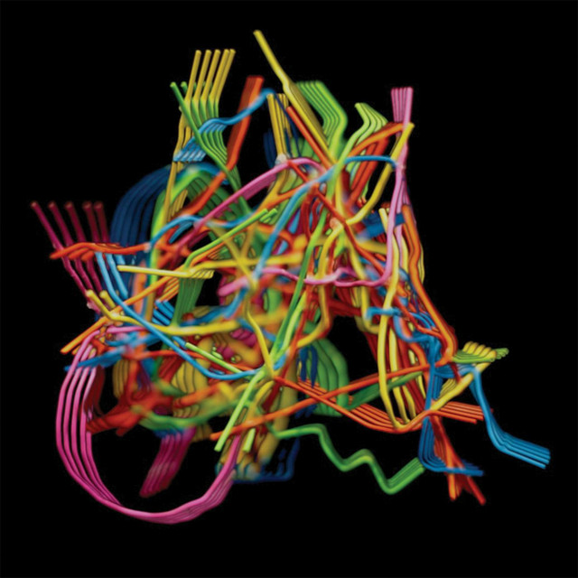 Perpetual Morphosis album cover