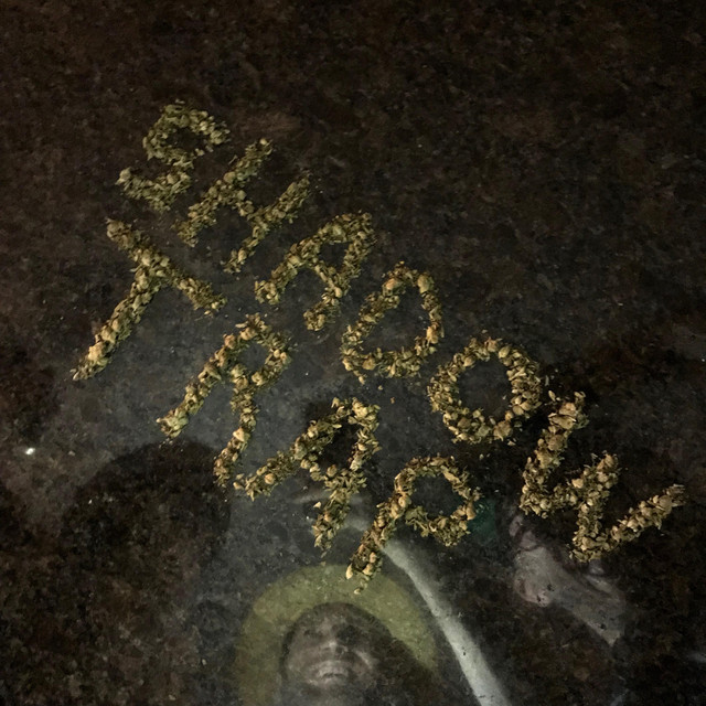 Shadow Trap album cover