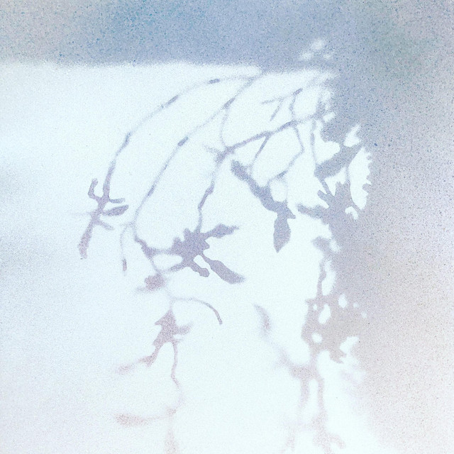 discography 2k21-2k22 album cover