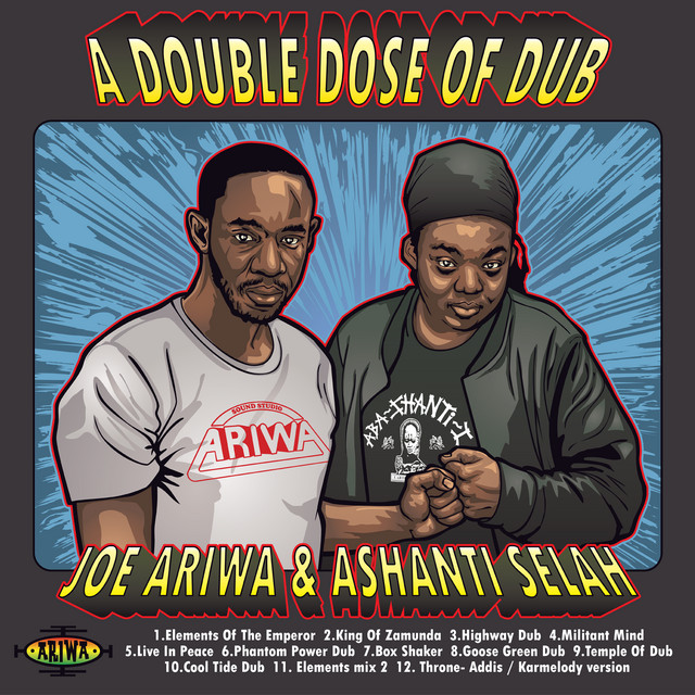 A Double Dose of Dub album cover