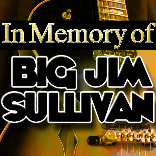 In Memory of Big Jim Sullivan album cover