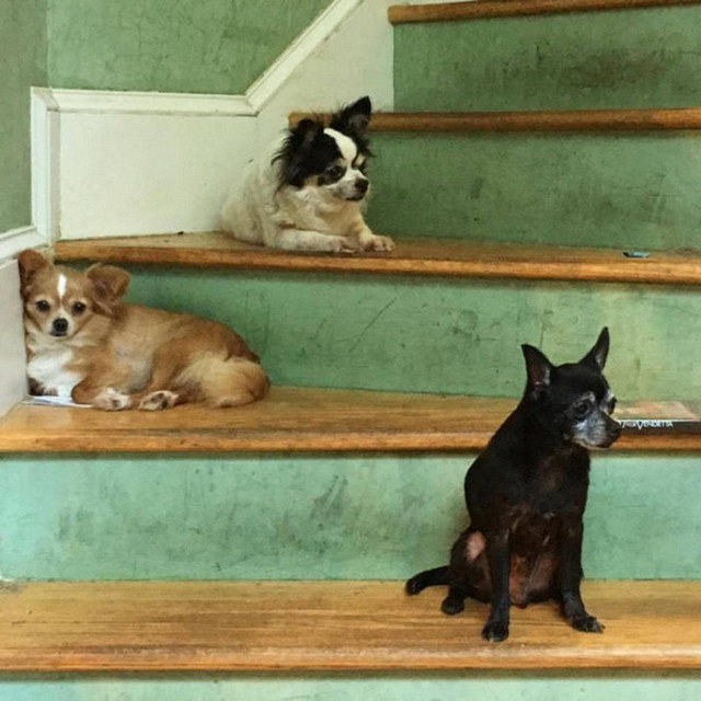 Far Corners album cover