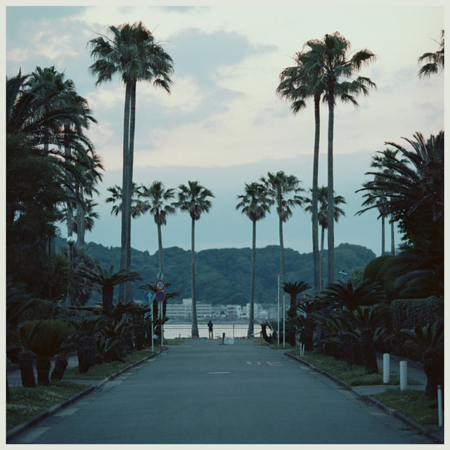 Are You Anywhere album cover