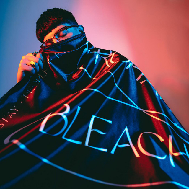 Bleach album cover