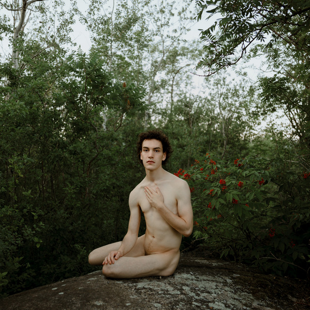 New Virginity album cover