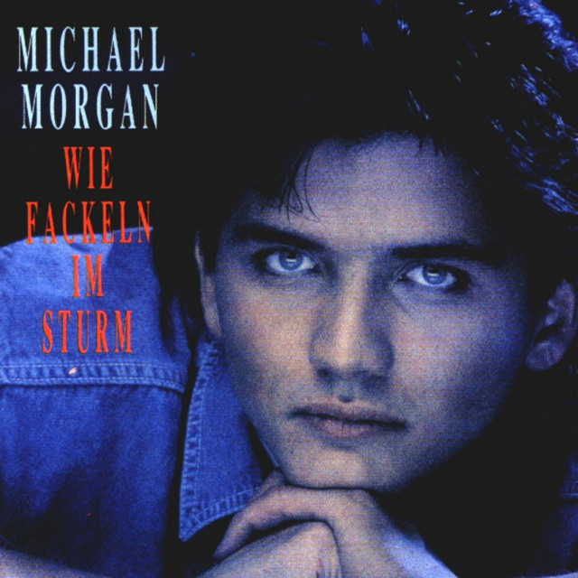 Wie Fackeln im Sturm album cover