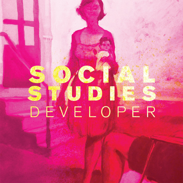 Developer album cover