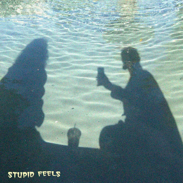 Stupid Feels album cover