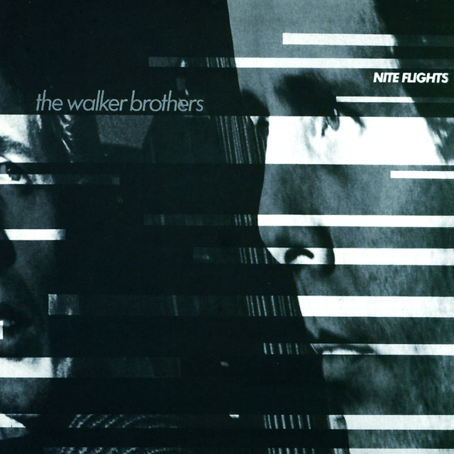 Nite Flights album cover