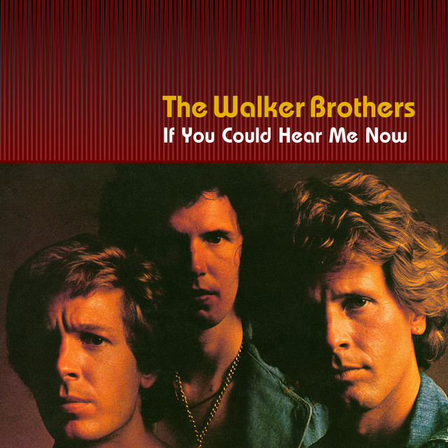 If You Could Hear Me Now album cover