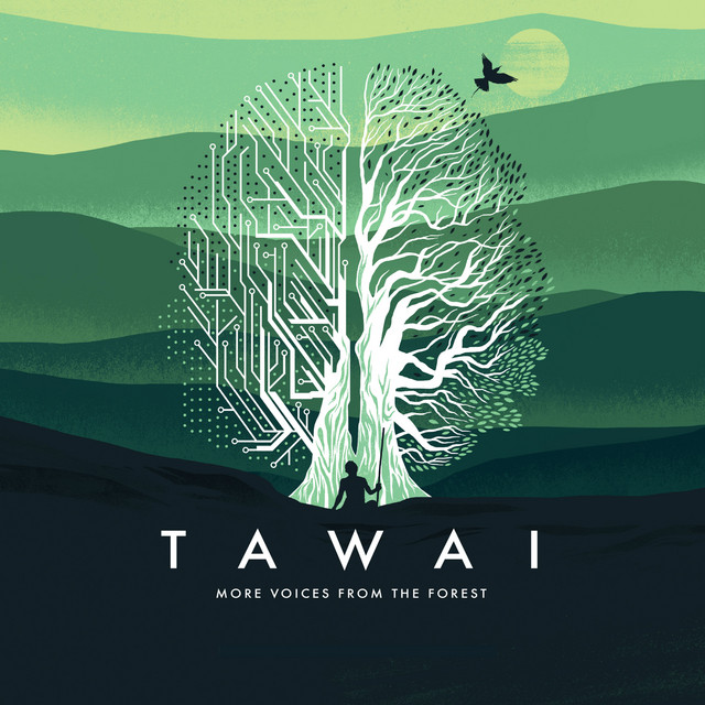 Tawai - More Voices From the Forest album cover