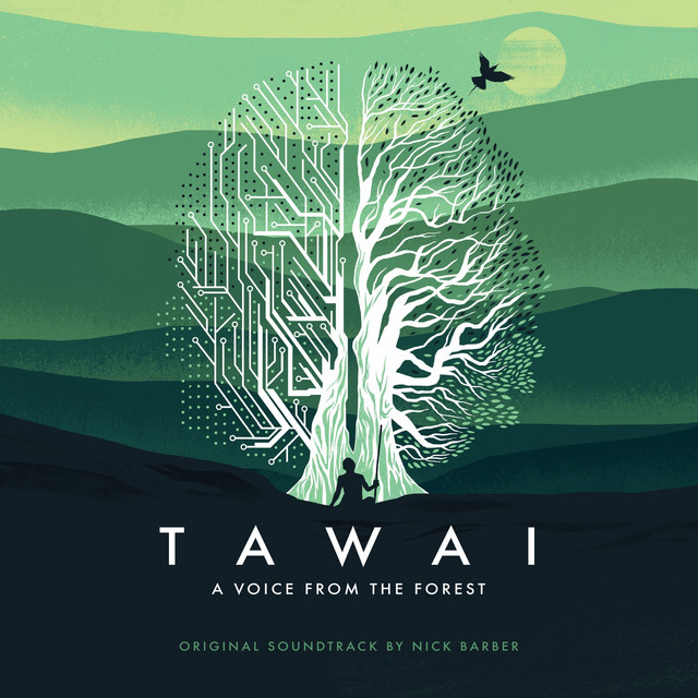 Tawai: A Voice From The Forest album cover