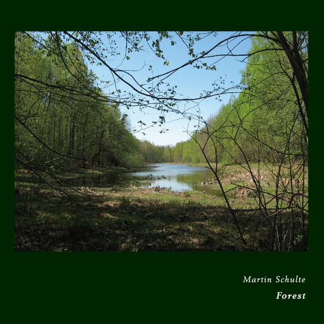 Forest album cover