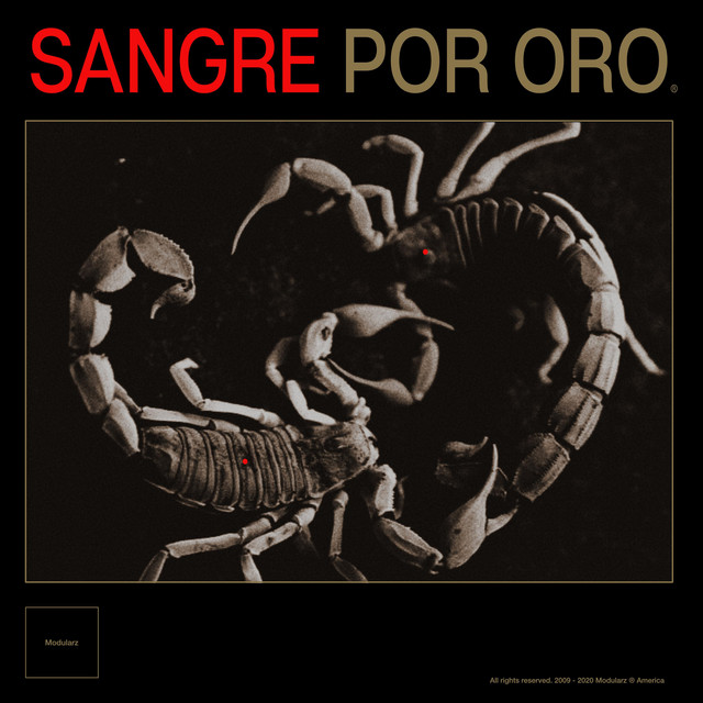 Sangre Por Oro album cover