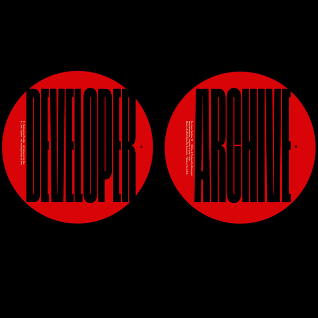 Developer Archive 12 album cover