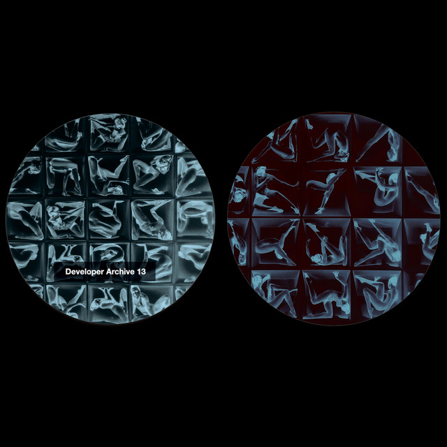 Developer Archive 13 album cover