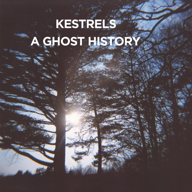 A Ghost History album cover