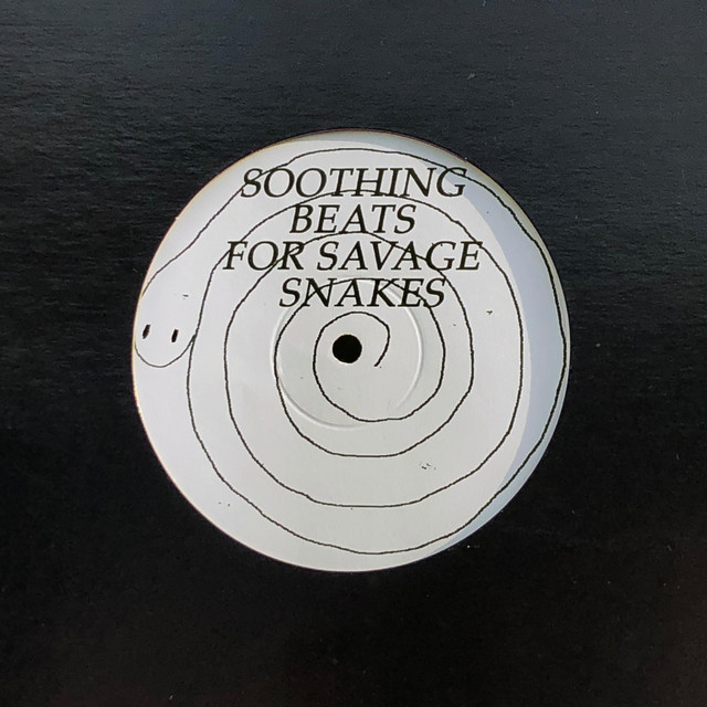 Soothing Beats for Savage Snakes album cover