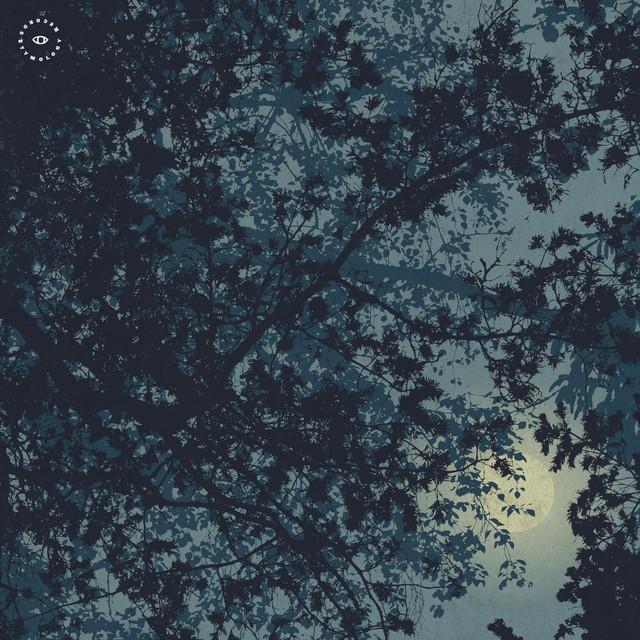 Lunar Walk album cover