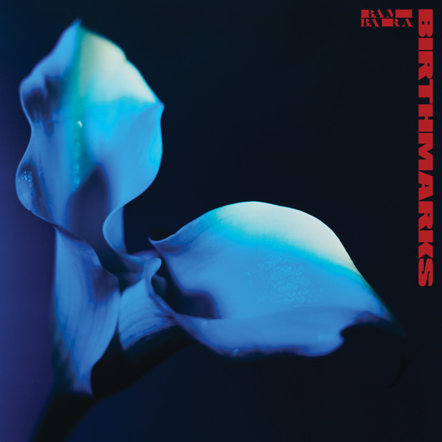 Birthmarks album cover