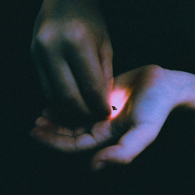 Stray album cover