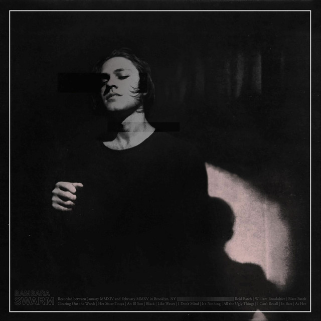 Swarm album cover