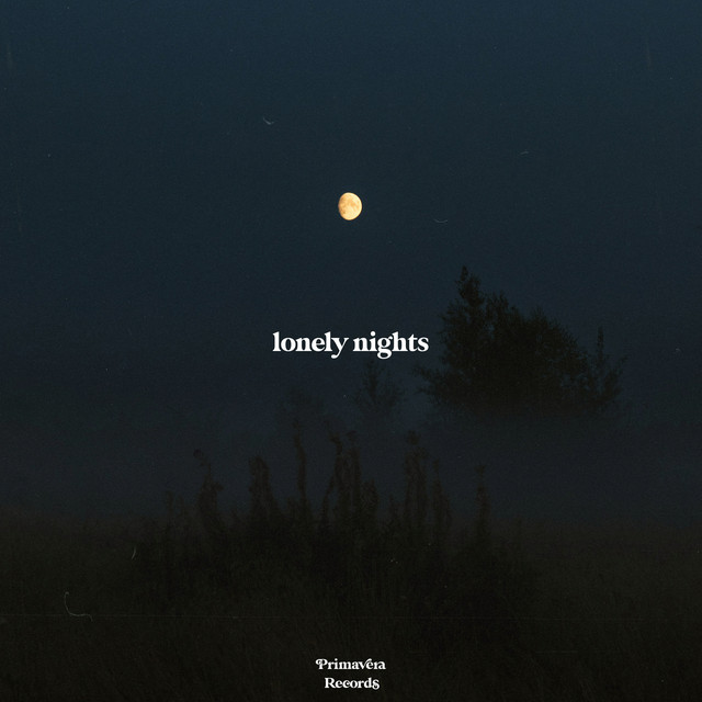 Lonely Nights album cover