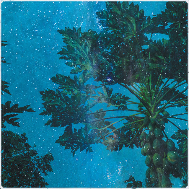 Entity album cover