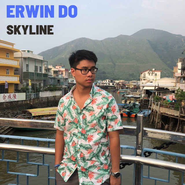 Skyline album cover