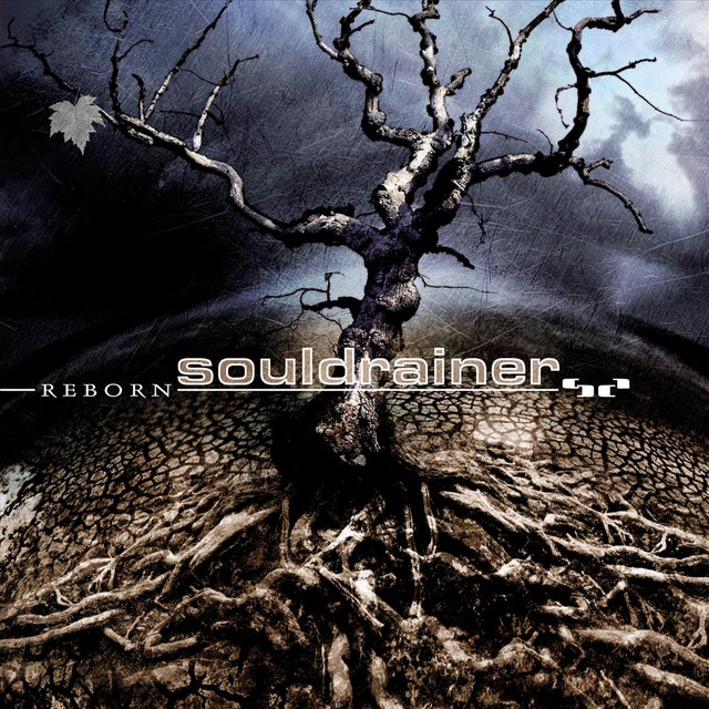 Reborn album cover