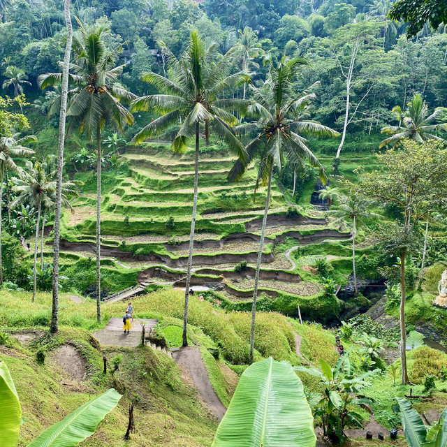 Impressions of Bali album cover