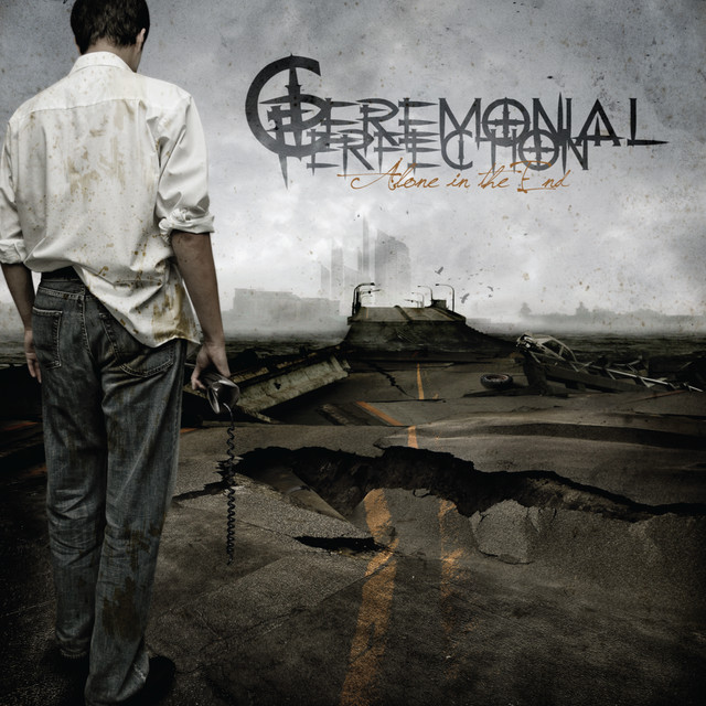 Alone In The End album cover