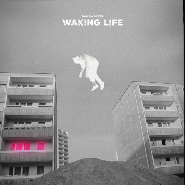 Waking Life album cover