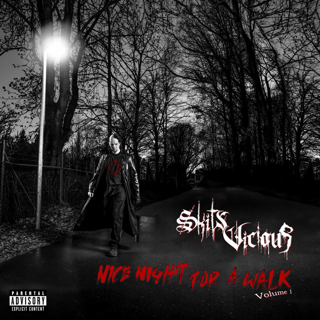 NICE NIGHT FOR A WALK | VOLUME 1 album cover